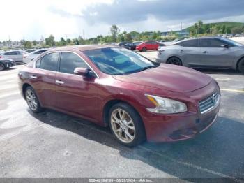  Salvage Nissan Maxima