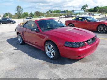  Salvage Ford Mustang