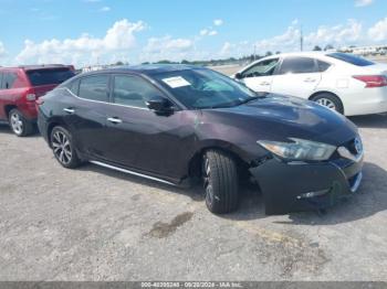  Salvage Nissan Maxima