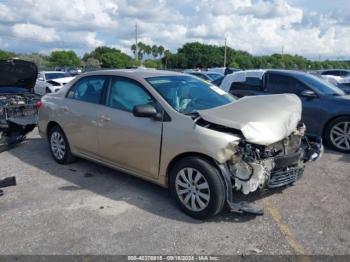  Salvage Toyota Corolla