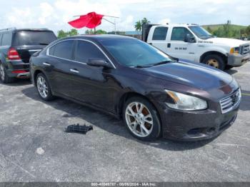  Salvage Nissan Maxima