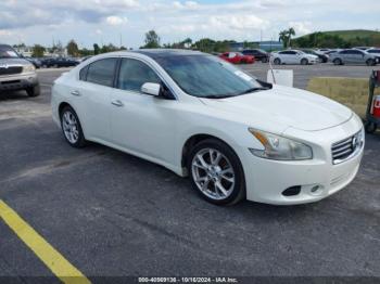  Salvage Nissan Maxima