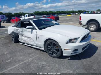  Salvage Ford Mustang