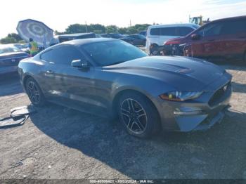  Salvage Ford Mustang