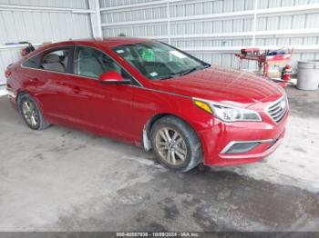  Salvage Hyundai SONATA