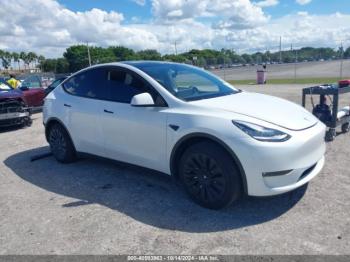  Salvage Tesla Model Y