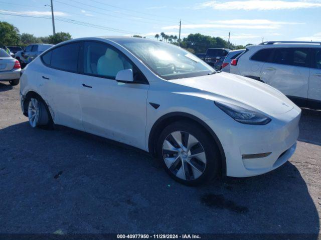  Salvage Tesla Model Y