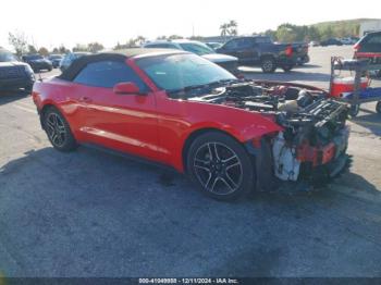  Salvage Ford Mustang