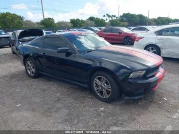  Salvage Ford Mustang