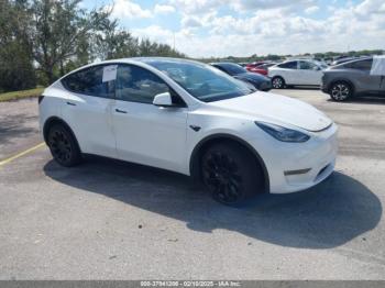  Salvage Tesla Model Y