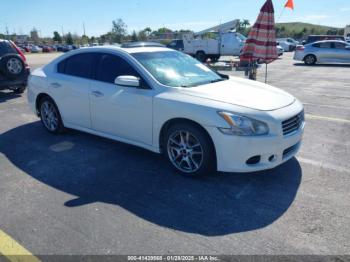  Salvage Nissan Maxima