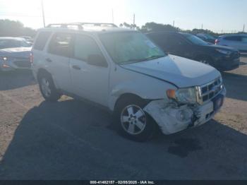  Salvage Ford Escape