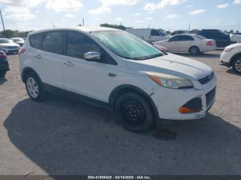  Salvage Ford Escape