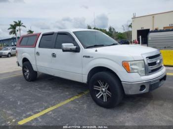  Salvage Ford F-150