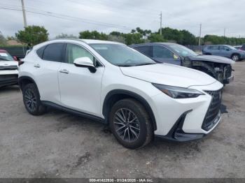  Salvage Lexus NX