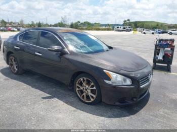  Salvage Nissan Maxima