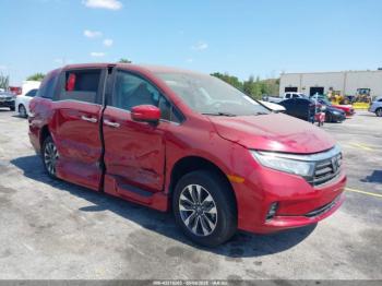 Salvage Honda Odyssey