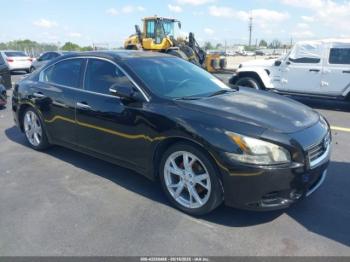 Salvage Nissan Maxima