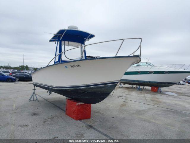  Salvage Palm Beach Other