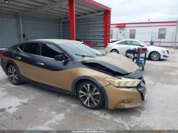  Salvage Nissan Maxima