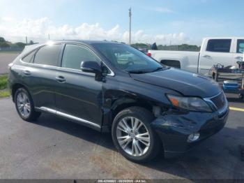  Salvage Lexus RX