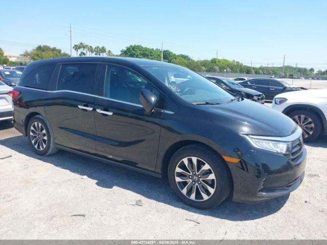  Salvage Honda Odyssey