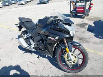  Salvage Bashan Bashanmotorcycle