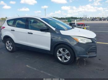  Salvage Ford Escape