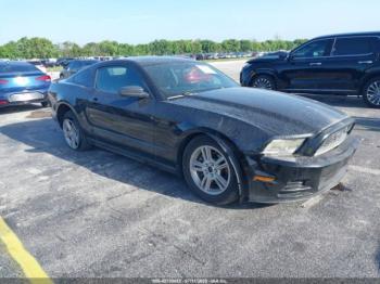  Salvage Ford Mustang