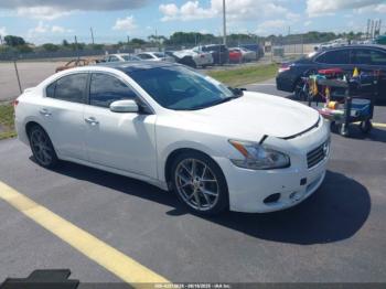  Salvage Nissan Maxima