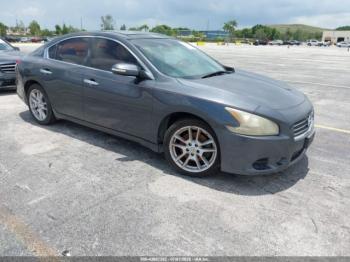  Salvage Nissan Maxima