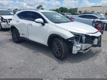  Salvage Lexus NX