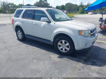  Salvage Ford Escape