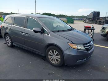  Salvage Honda Odyssey