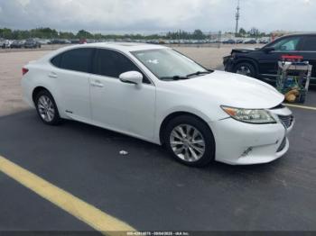  Salvage Lexus Es