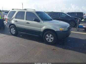  Salvage Ford Escape
