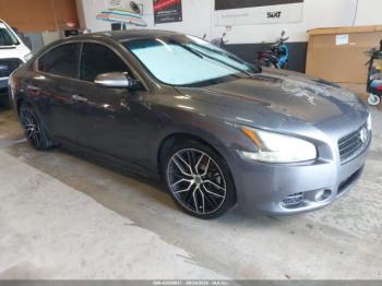  Salvage Nissan Maxima