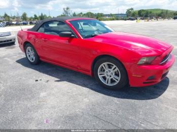  Salvage Ford Mustang
