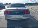 Ford Mustang Ecoboost Premium Image 13