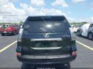 Lexus Gx Premium Image 7
