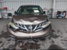 Nissan Murano S Image 17