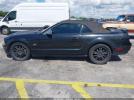 Ford Mustang Gt Image 15