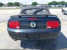 Ford Mustang Gt Image 16