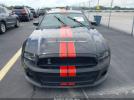 Ford Shelby GT500 Image 7