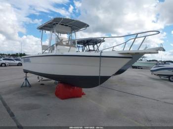  Salvage Pursuit Other