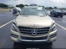 Mercedes-Benz M-Class 4matic Image 15
