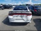 Dodge Charger Image 14