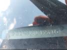 Ford Fiesta Se Image 6