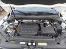 Volkswagen Tiguan Image 5