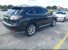 Lexus RX Image 11